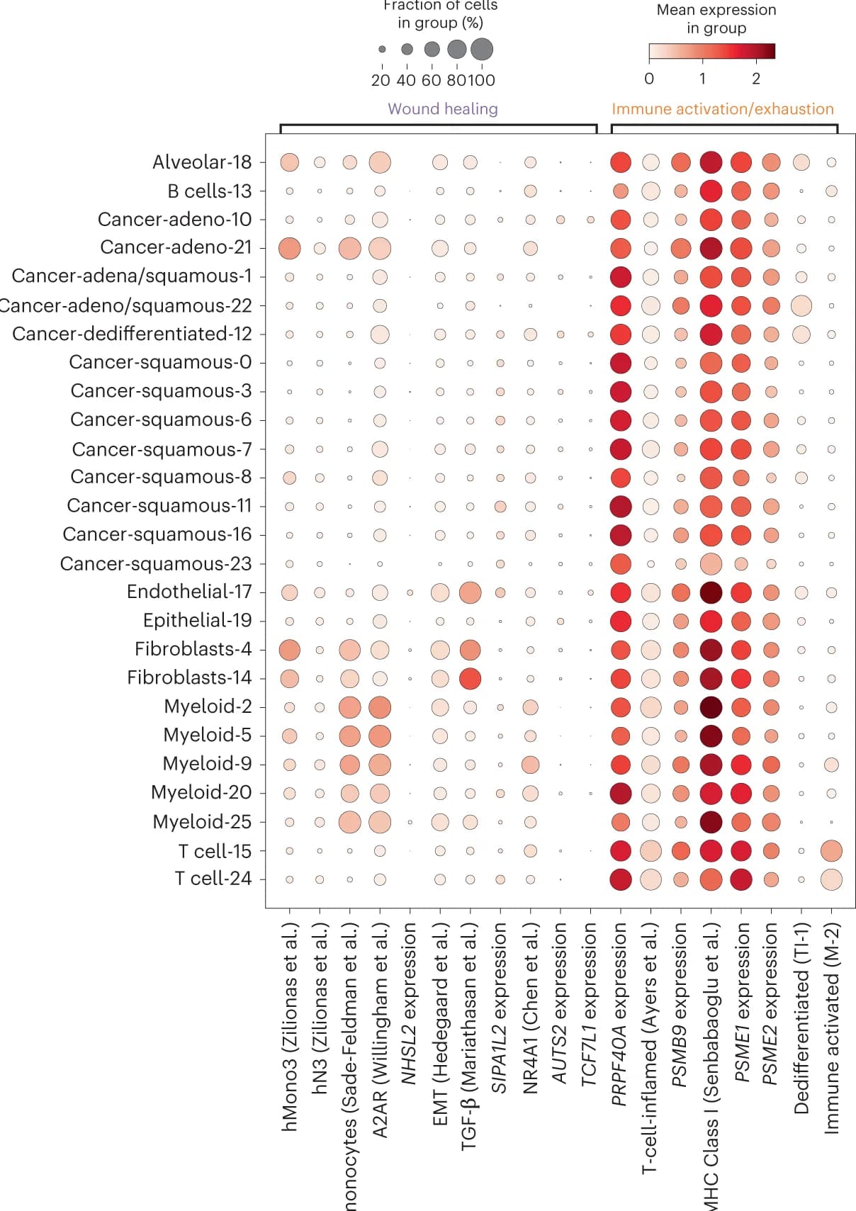 Open access visualization of Bubble Plot, Cell types, NSCLC, Single-cell data, Genes