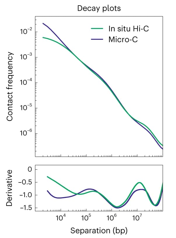 Open access visualization of Line Plot, Hi-C, Micro-C, Interaction Frequencies, Genomic Distance