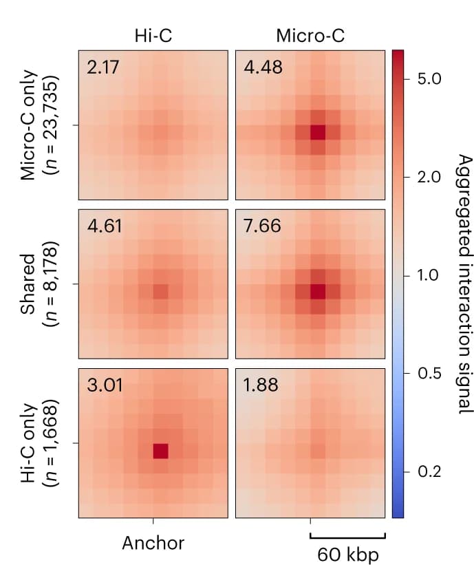 Open access visualization of Heatmap, Aggregate Plots, Hi-C, Micro-C, Signal