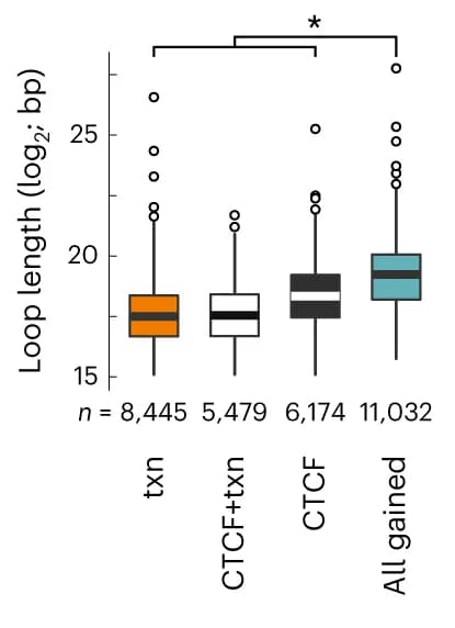 Open access visualization of Box Plot, Box plots, Control loops, Transcription anchors, CTCF anchors