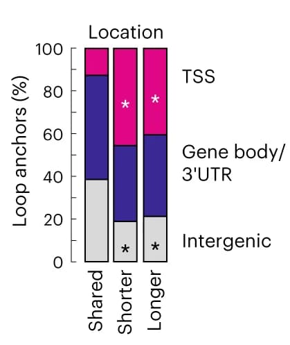 Open access visualization of Stacked Bar Plot, Bar plots, Loop anchors, Genomic locations, Fischer’s exact test