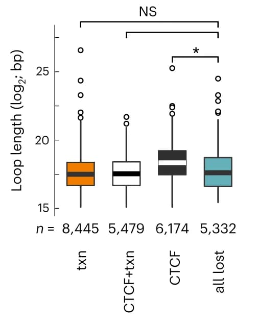 Open access visualization of Box Plot, Box plots, Control Loops, Transcription anchors, CTCF anchors