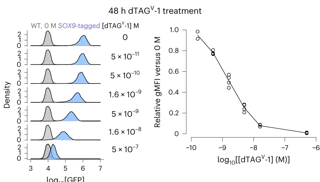 Open access visualization of Density Plot, Line Plot, Scatter Plot, Flow Cytometry, mNeonGreen Fluorescence
