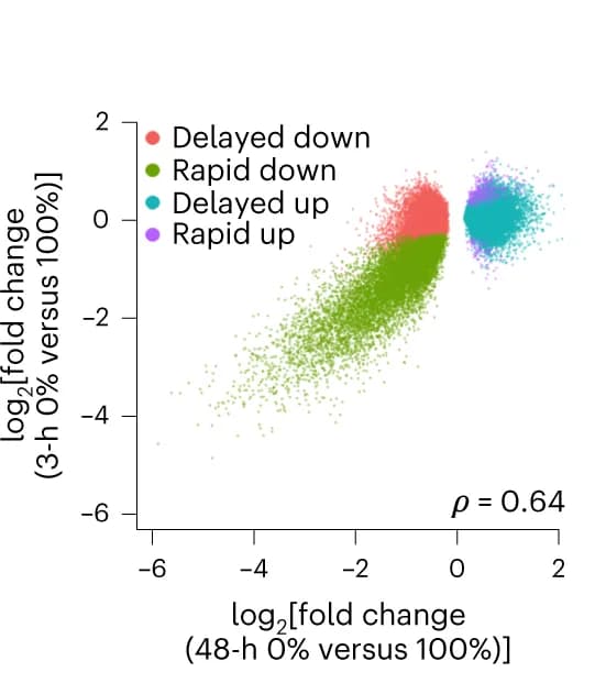 Open access visualization of Scatter Plot, SOX9, Chromatin Accessibility, REs
