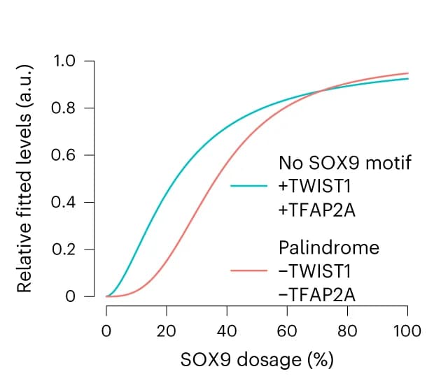Open access visualization of Line Plot, Dosage Curves, SOX9 Motif, Transcription Factors, Confidence Intervals