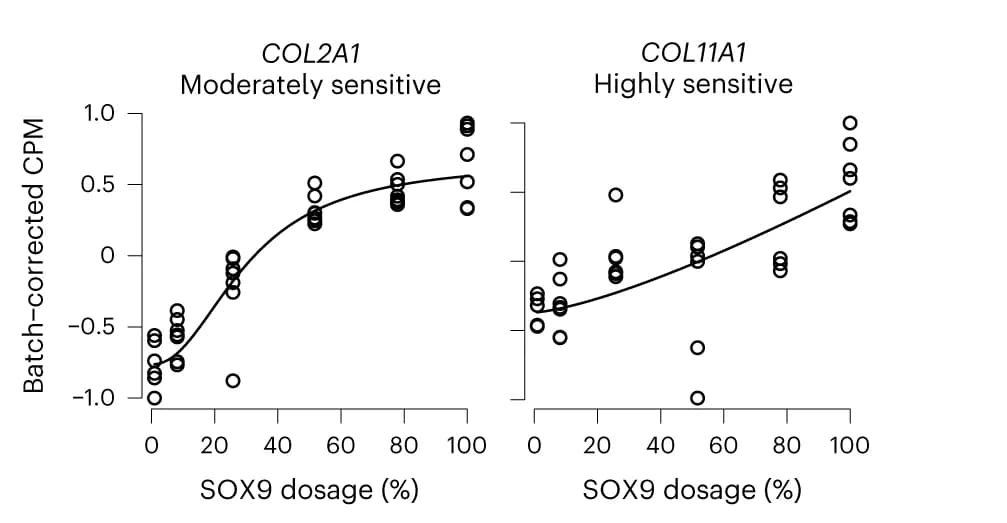 Open access visualization of Scatter Plot, Line Plot, Pro-chondrogenic genes, SOX9