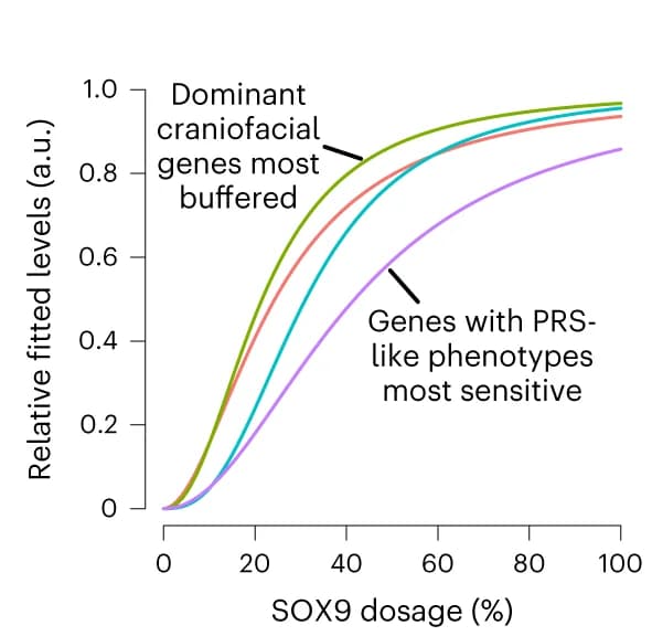 Open access visualization of Line Plot, Dosage Curves, ED50, Hill Exponent