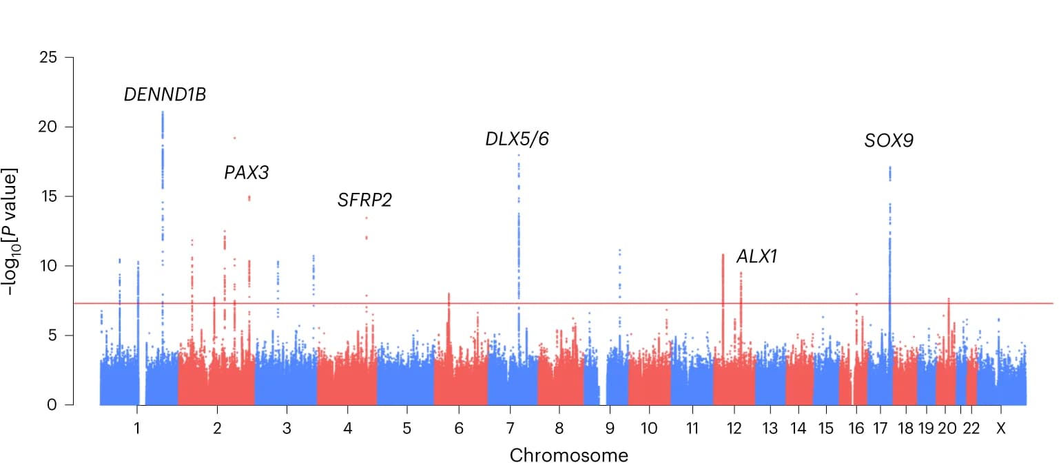 Open access visualization of Manhattan Plot, PRS, Endophenotype, GWAS, Candidate Genes
