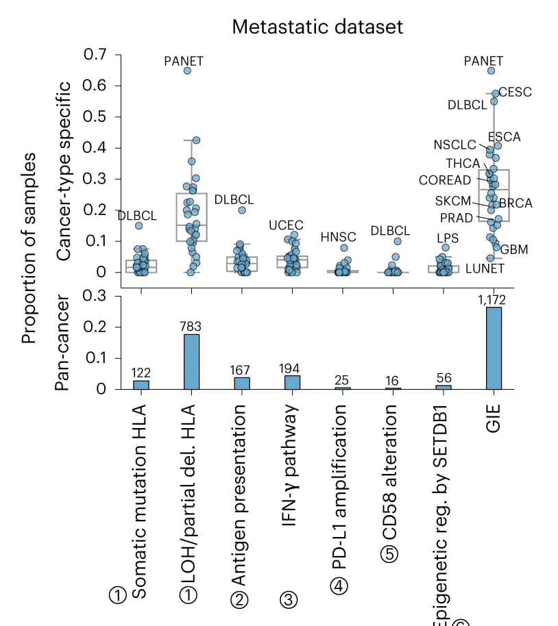 Open access visualization of Box Plot, Scatter Plot, Bar Plot, Cancer Type-Specific Proportion, Metastatic Samples