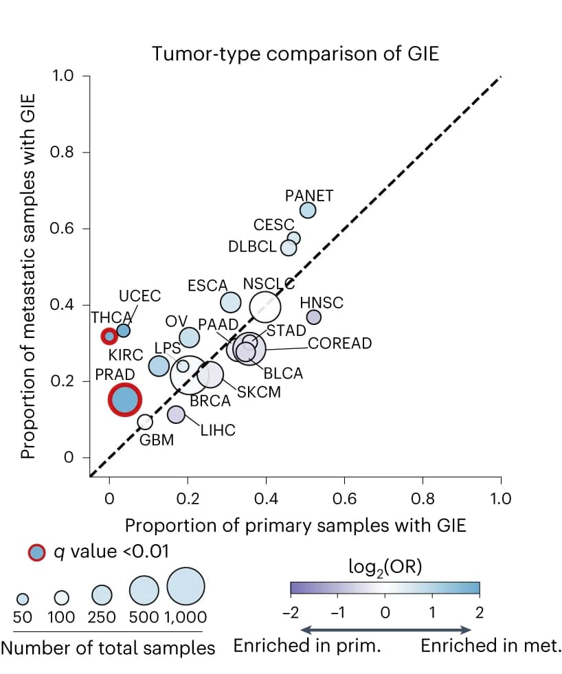 Open access visualization of Bubble Plot, Scatter Plot, Primary Samples, Metastatic Samples, GIE Alterations