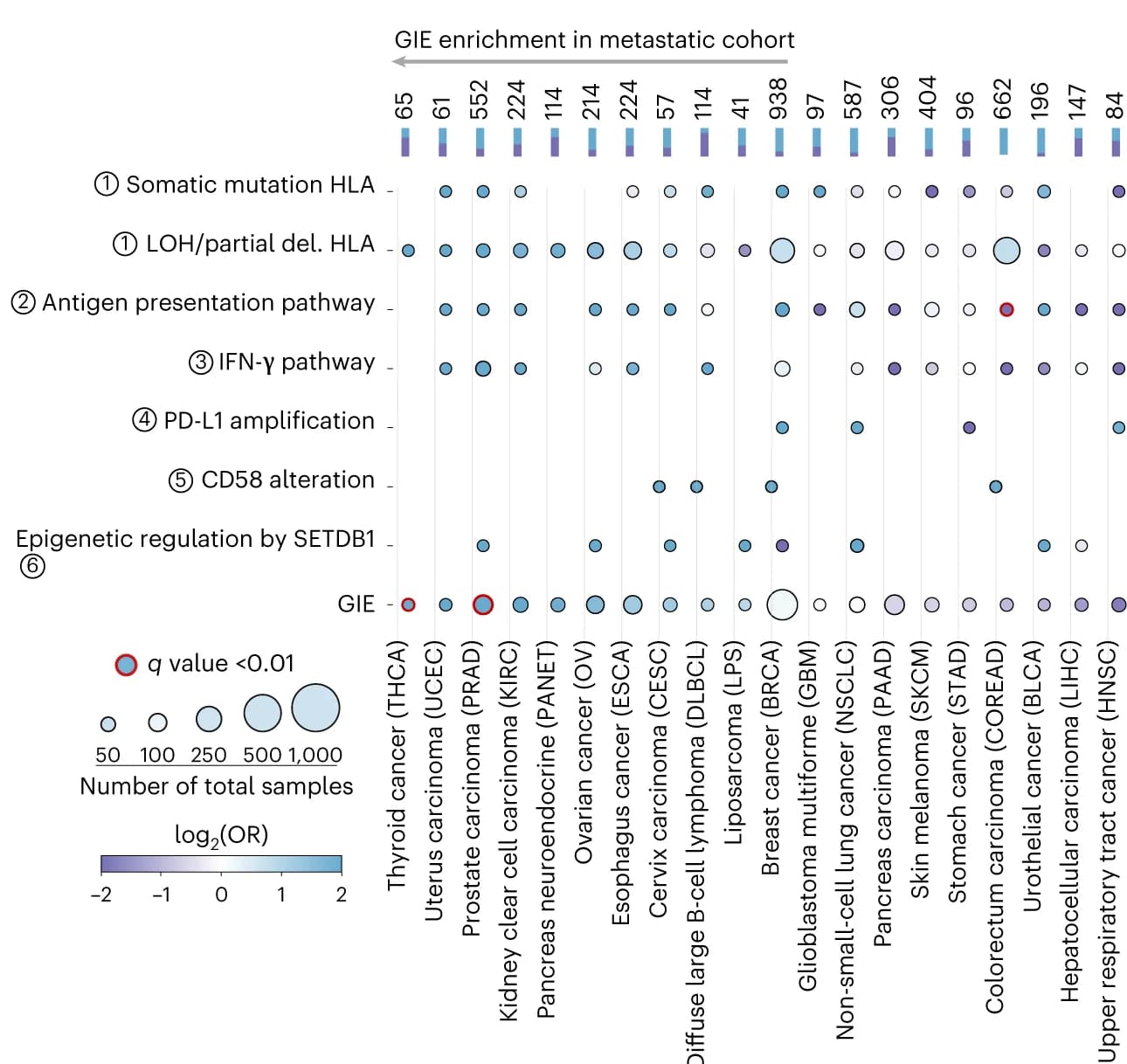 Open access visualization of Scatter Plot, Bar Plot, Stacked Bars, Cancer-Type Samples, GIE Frequency