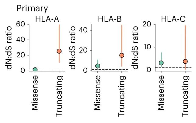 Open access visualization of Scatter Plot, Error Bars, Primary dataset, Gene-specific, dN:dS ratios