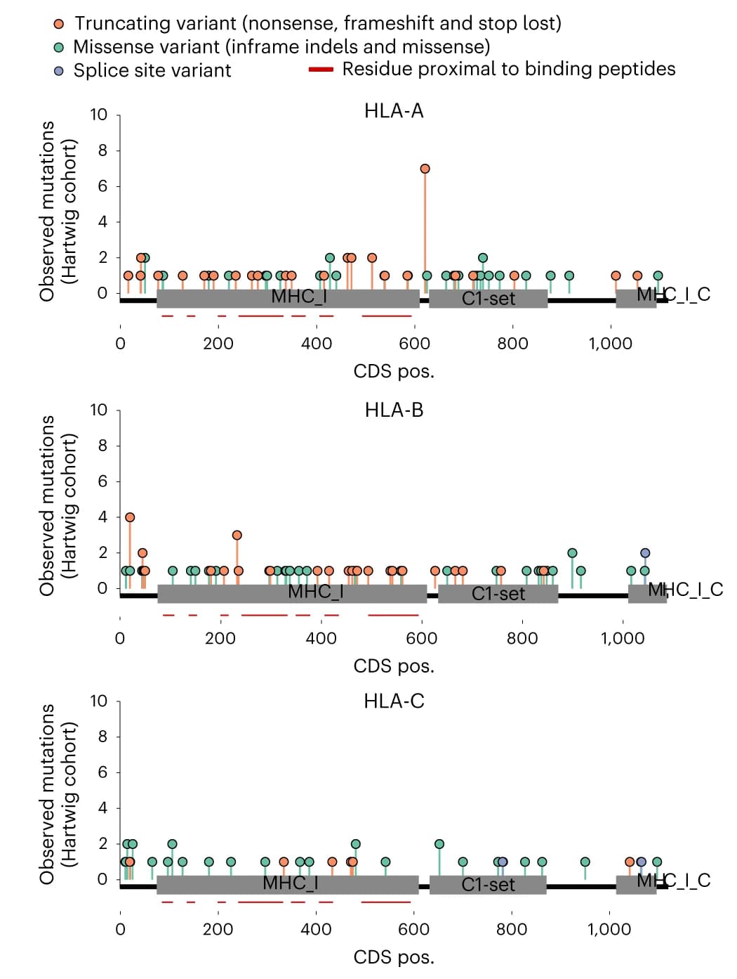 Open access visualization of Scatter Plot, Needle plots, Pan-cancer, Somatic mutations, HLA-A