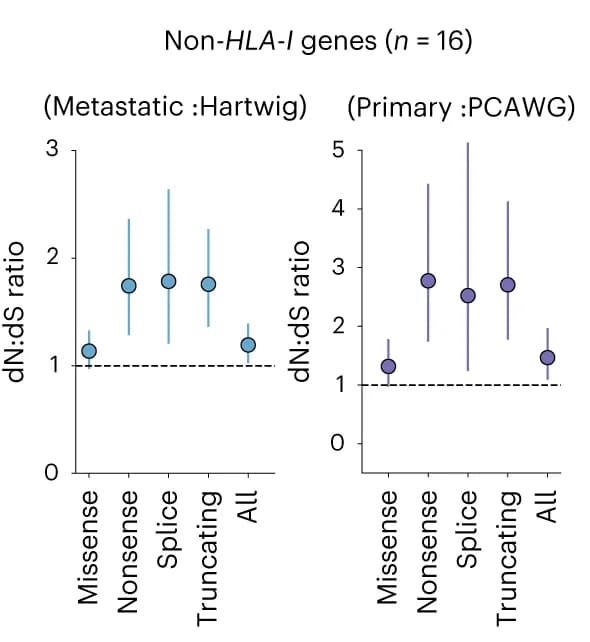 Open access visualization of Scatter Plot, Error Bars, Pan-cancer, dN:dS ratios, Metastatic