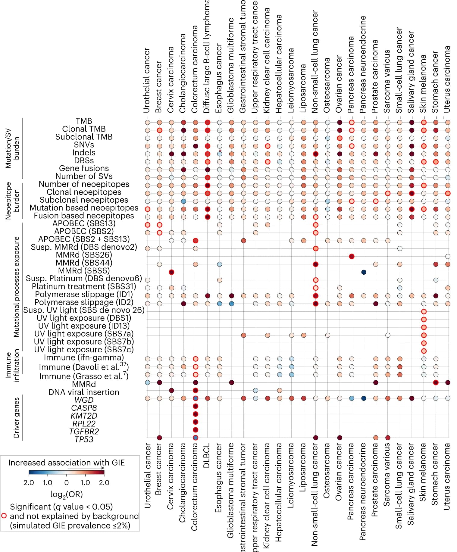 Open access visualization of Scatter Plot, Bubble Plot, Genomic Features, GIE Frequency, Cancer Types