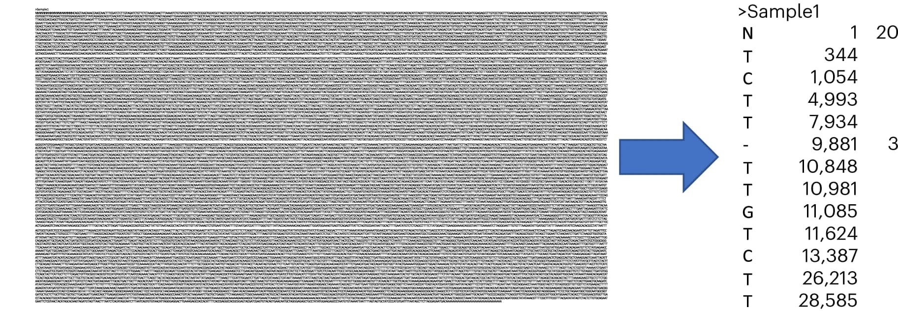 Open access visualization of Table Image, SARS-CoV-2 Genome, Fasta Representation, MAPLE Format, Genome Sequence