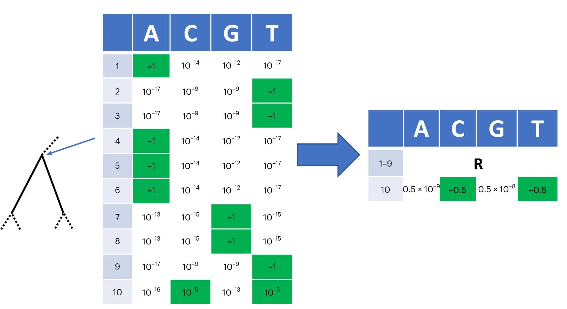Open access visualization of Heatmap, Illustration, Likelihood Vector, Phylogenetic Tree, Genome Position
