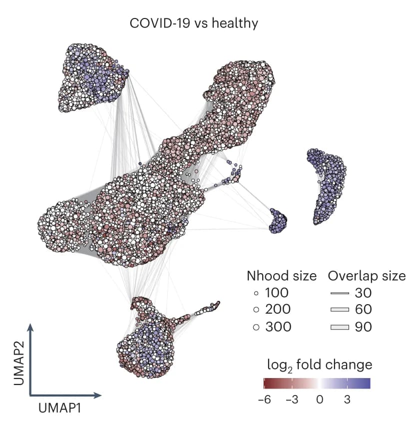 Open access visualization of Bubble Plot, UMAP, Network, Graph Representation, Nhoods