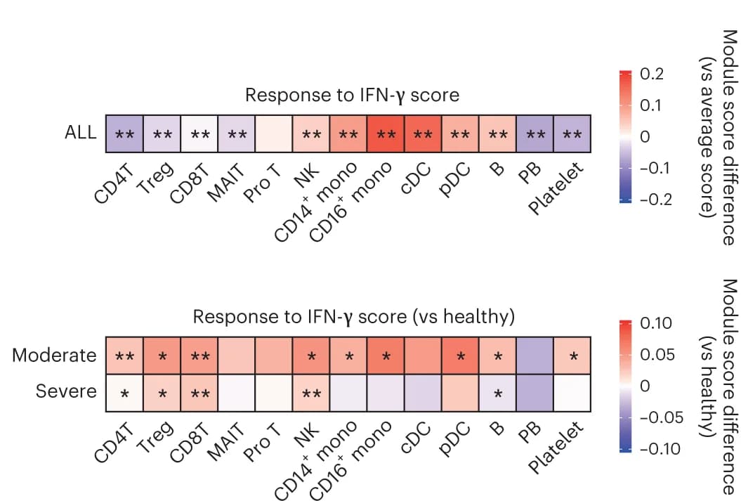 Open access visualization of Heatmap, Module Score, Type I IFN Response, IFN-gamma Response, PBMCs
