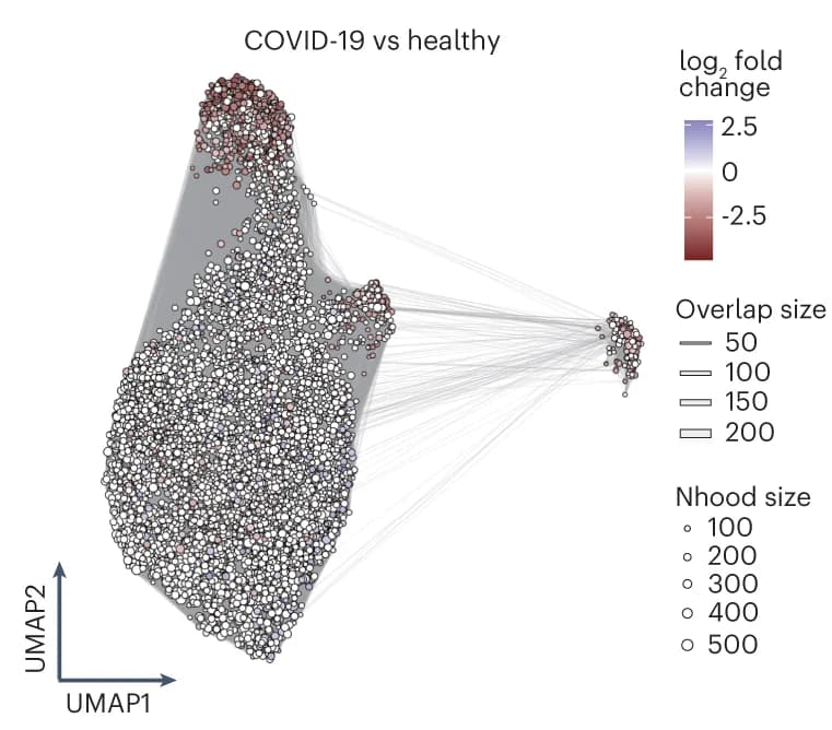 Open access visualization of UMAP, Scatter Plot, Network, Graph representation, Nhoods