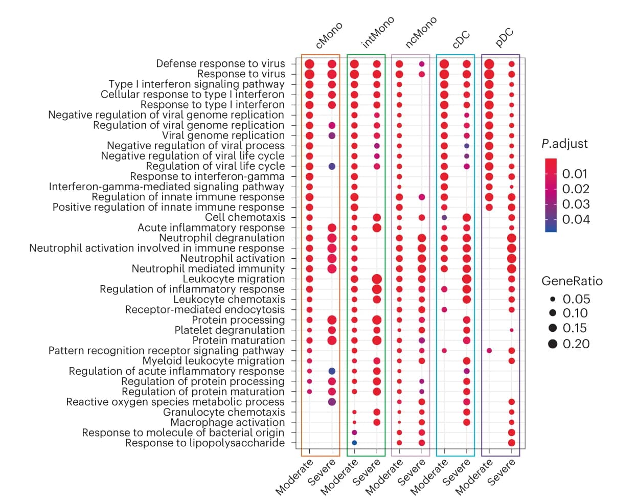 Open access visualization of Bubble Plot, Biological processes, GO analysis, DEGs, Moderate disease