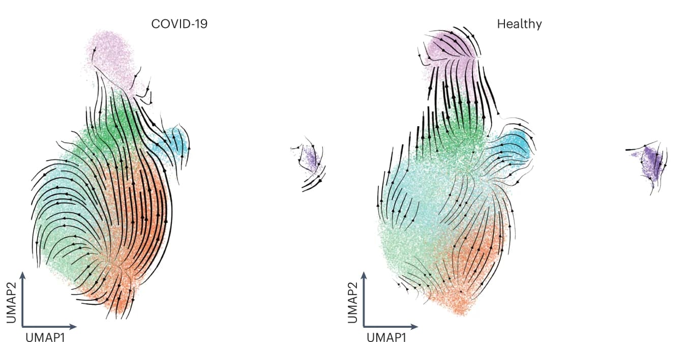 Open access visualization of UMAP, Scatter Plot, Line Plot, Velocities, Dynamical model