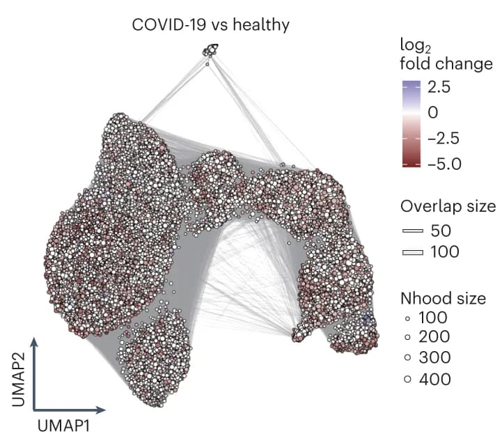 Open access visualization of UMAP, Scatter Plot, Network, Graph representation, Nhoods