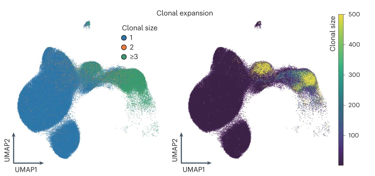 Open access visualization of Scatter Plot, UMAP, UMAP embedding, T cells, Cell types