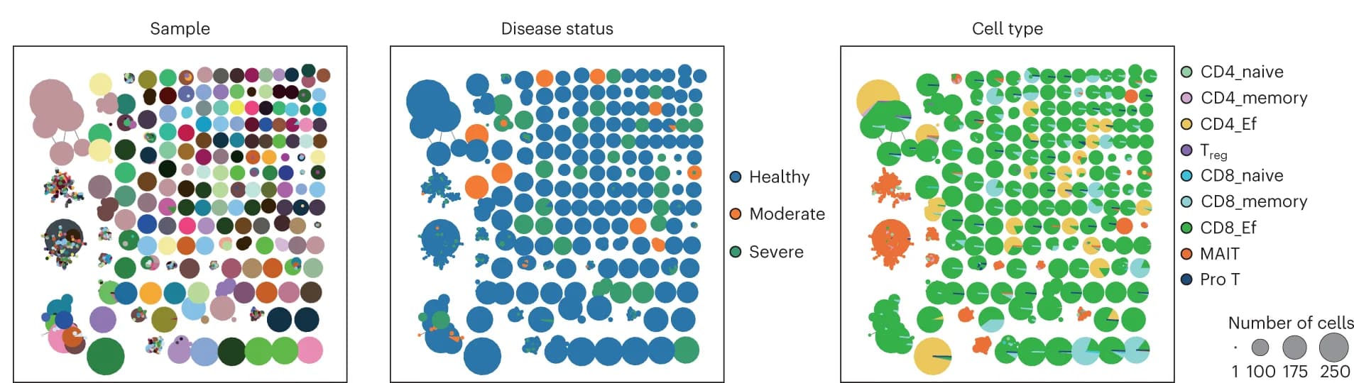 Open access visualization of Bubble Plot, Scatter Plot, Network plots, TCRα, TCRβ