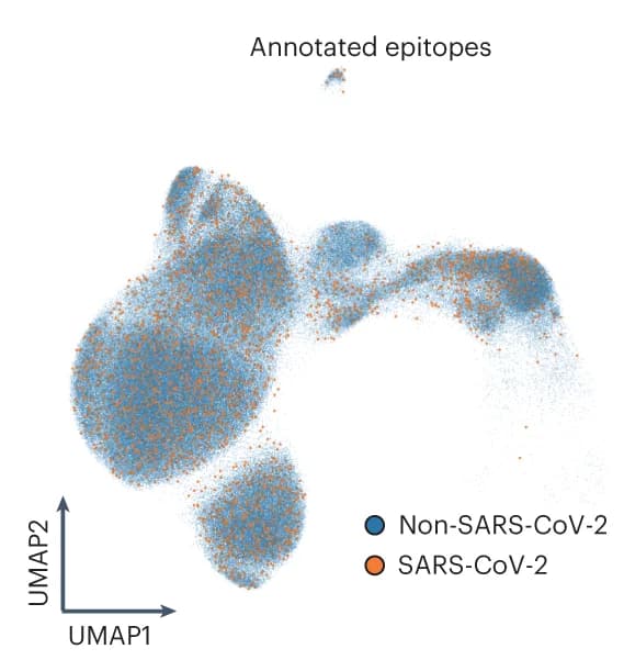 Open access visualization of Scatter Plot, UMAP, T cells, SARS-CoV-2, CDR3