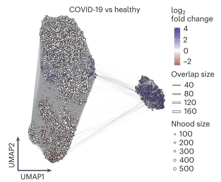 Open access visualization of UMAP, Scatter Plot, Graph Representation, Nhoods, COVID-19