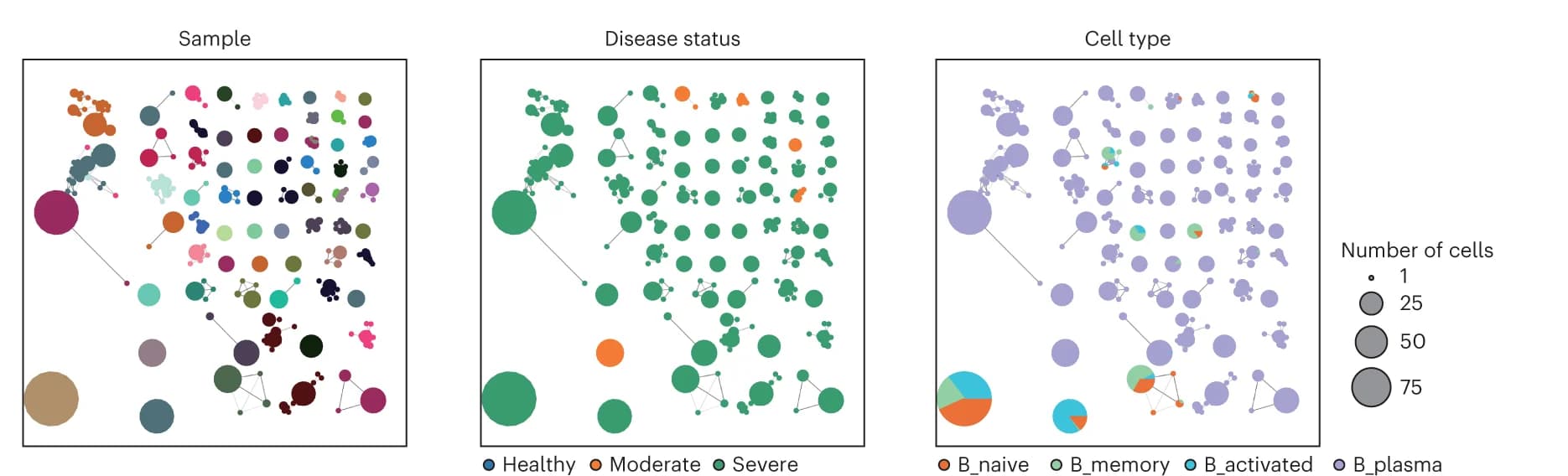 Open access visualization of Scatter Plot, Bubble Plot, Network, Pie Chart, Network Plots