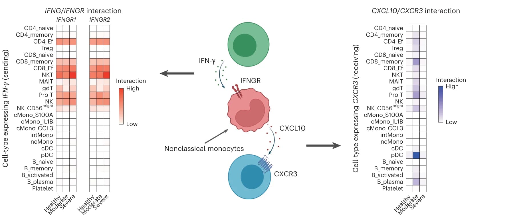 Open access visualization of Heatmap, Cell-cell interaction, IFNG/IFNGR, CXCL10/CXCR3, Nonclassical monocytes