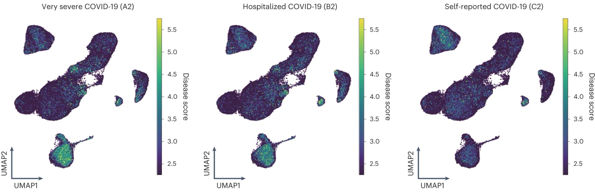 Open access visualization of UMAP, COVID-19, PBMCs, scDRS, GWAS