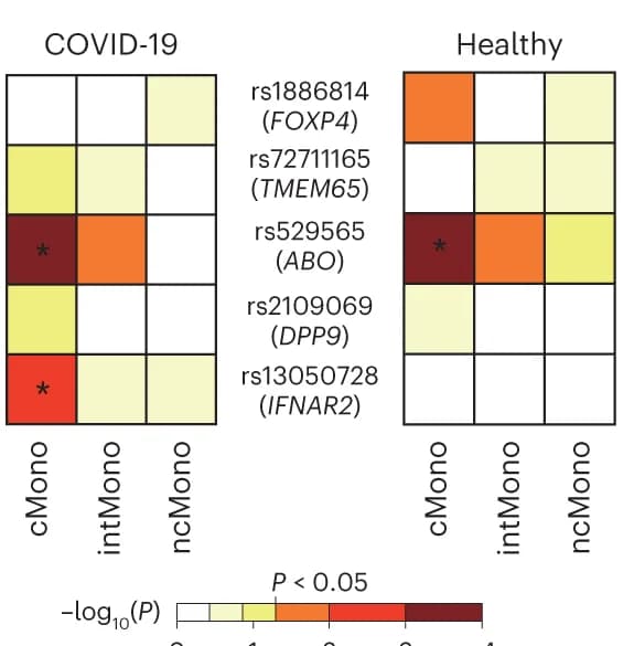 Open access visualization of Heatmap, Heatmaps, eQTL, COVID-19, Risk variants
