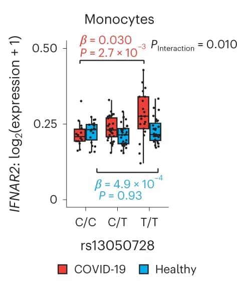 Open access visualization of Box Plot, Scatter Plot, rs13050728, eQTL, IFNAR2