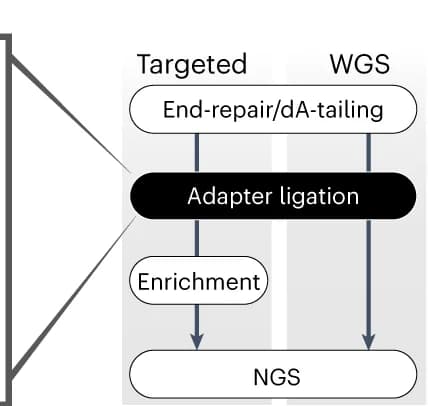 Open access visualization of Workflow, Flowchart, Targeted Sequencing, WGS