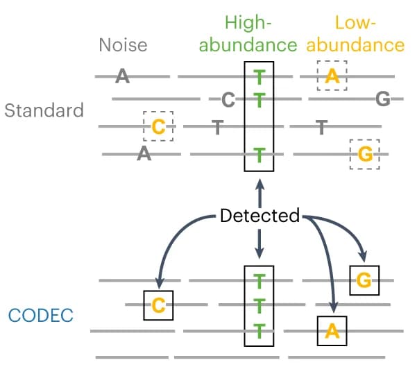 Open access visualization of Workflow, Flowchart, Illustration, NGS, Mutation Detection