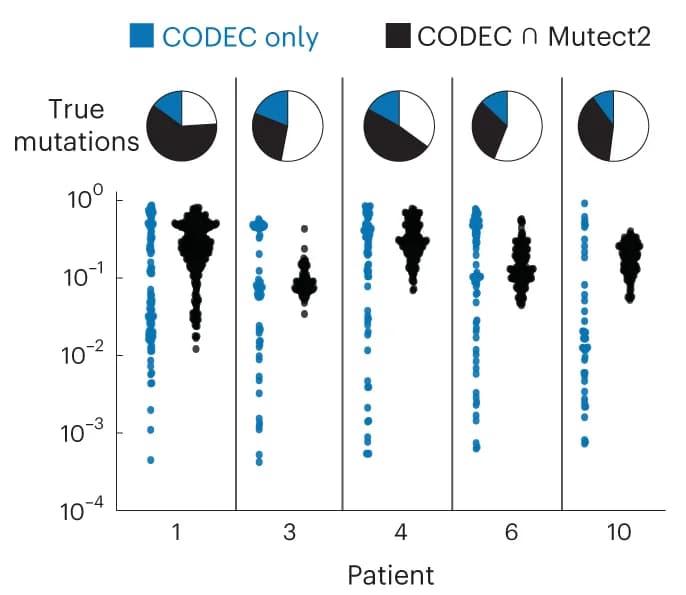 Open access visualization of Scatter Plot, Pie Chart, Mutations, Tumor Samples, Whole Genome Sequencing