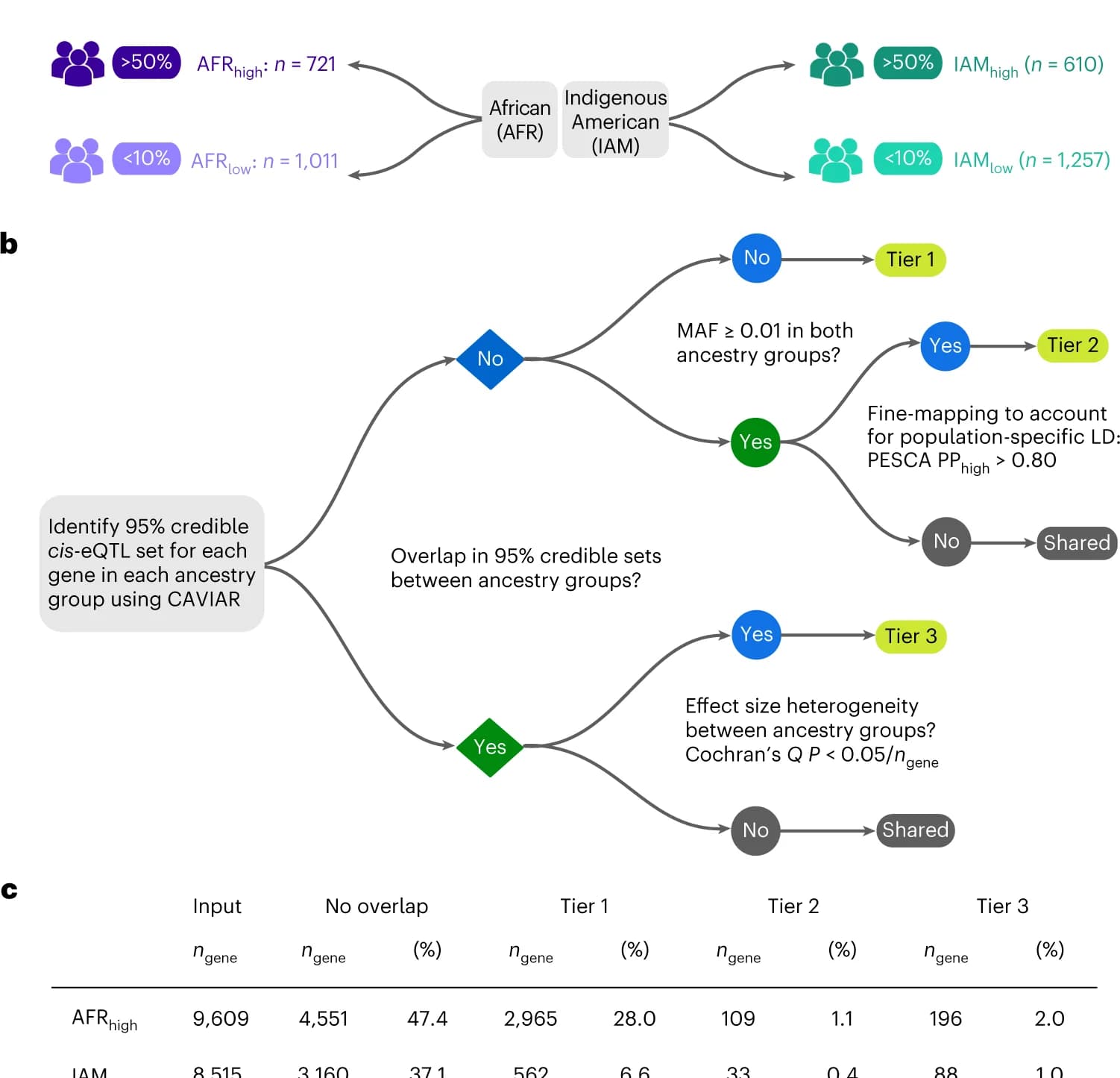 Open access visualization of Workflow, Flowchart, Table Image, eQTL mapping, Genetic ancestry