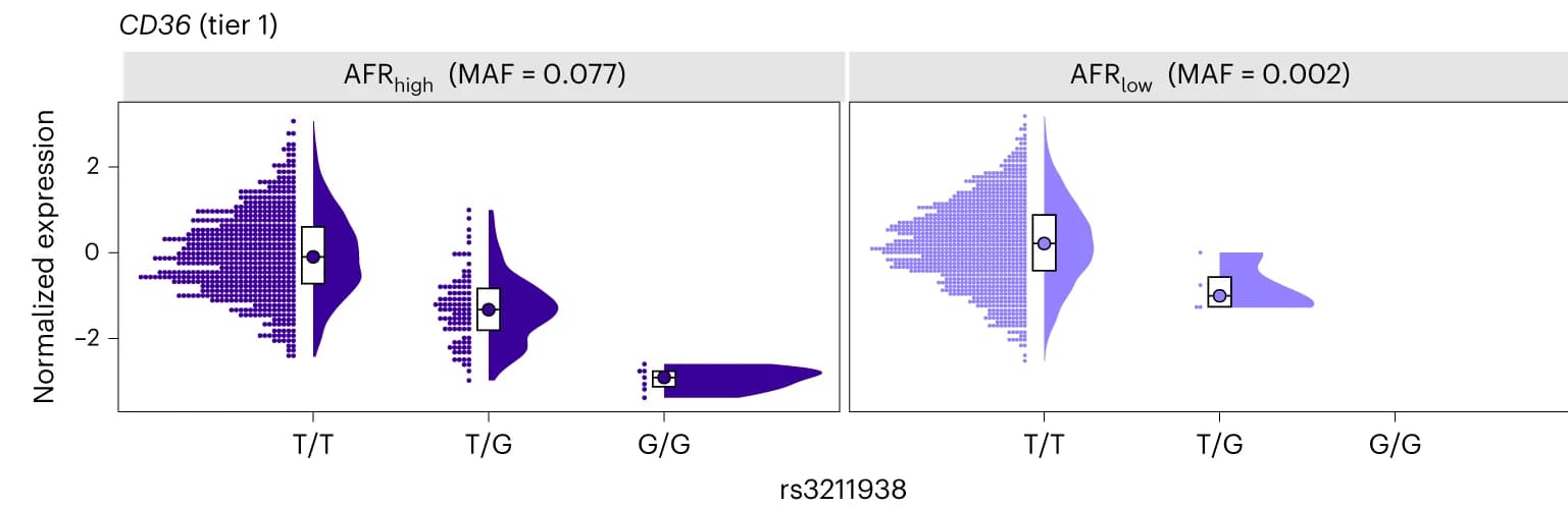 Open access visualization of Violin Plot, Box Plot, Scatter Plot, anc-eQTL, CD36