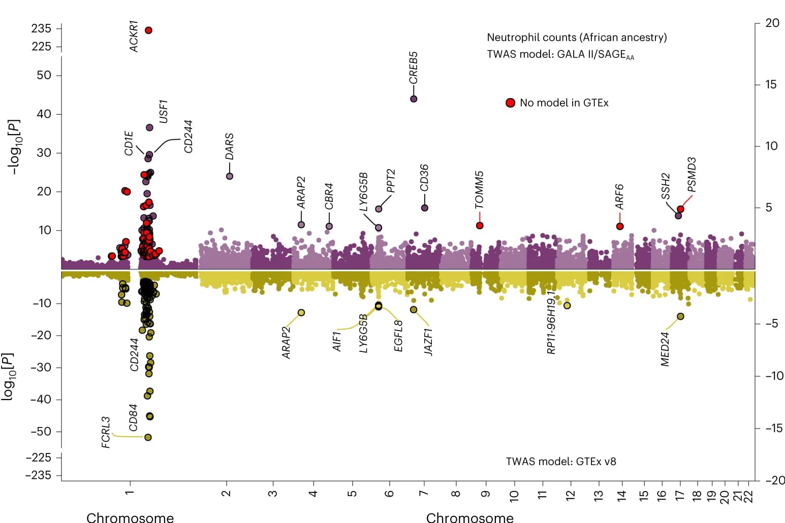 Open access visualization of Manhattan Plot, TWAS, Neutrophil counts, GALA II/SAGE models, GTEx v8