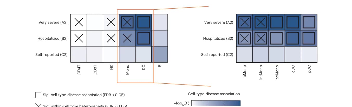 Open access visualization of Heatmap, Heatmaps, Cell Type-Disease Association, Disease Phenotypes, P values