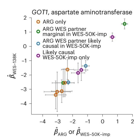 Open access visualization of Scatter Plot, Error Bars, ARG-derived independent variants, Aspartate aminotransferase, GOT1 gene