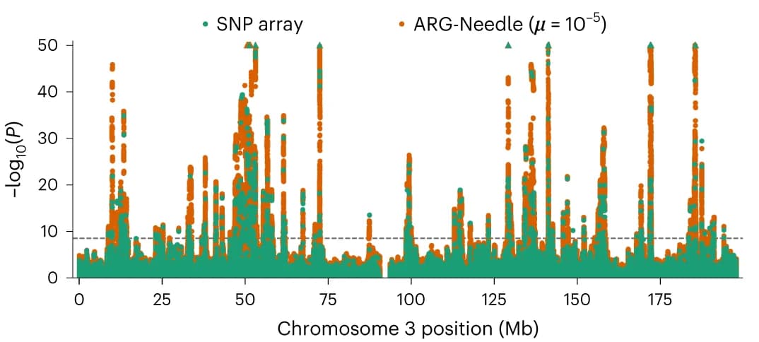 Open access visualization of Scatter Plot, Manhattan Plot, Chromosome 3, Manhattan plots, MLMA