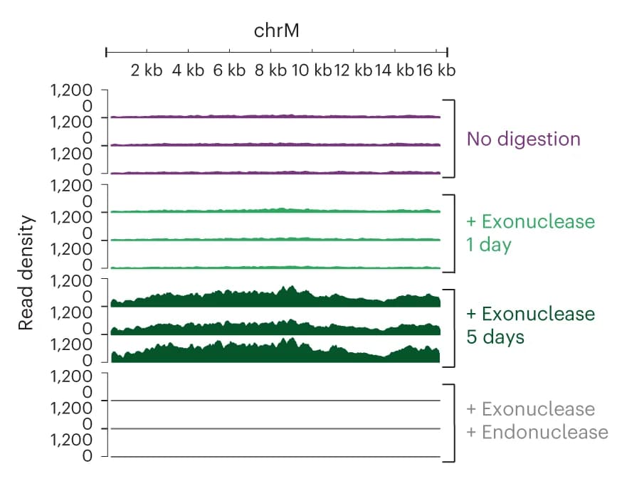 Open access visualization of Line Plot, Density Plot, Genome Tracks, mtDNA, CHP-212 Cells