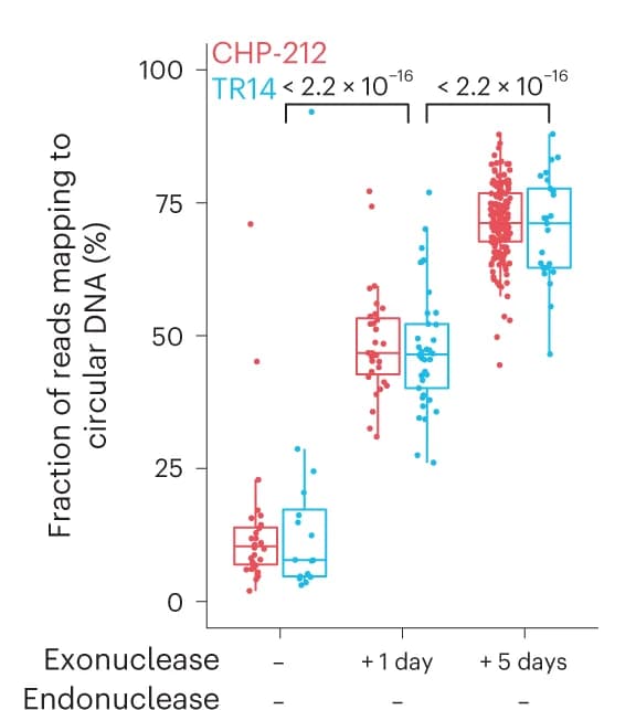 Open access visualization of Box Plot, Scatter Plot, Sequencing Reads, Circular DNA, scEC&T-seq