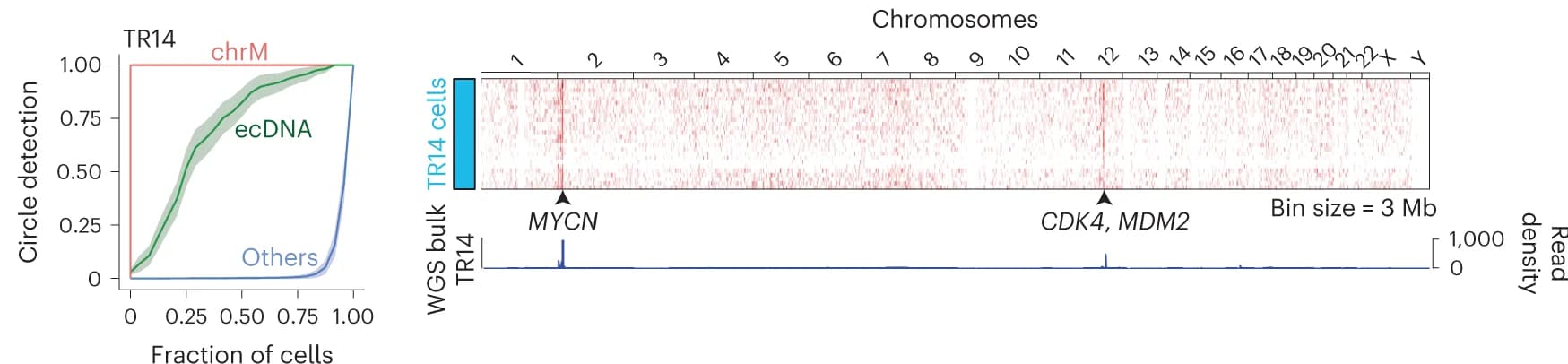 Open access visualization of Line Plot, Error Bars, Heatmap, Recurrence Analysis, Circular DNA