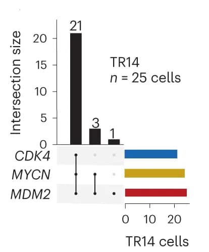 Open access visualization of Bar Plot, UpSet, UpSet Plot, ecDNA, Single Cells