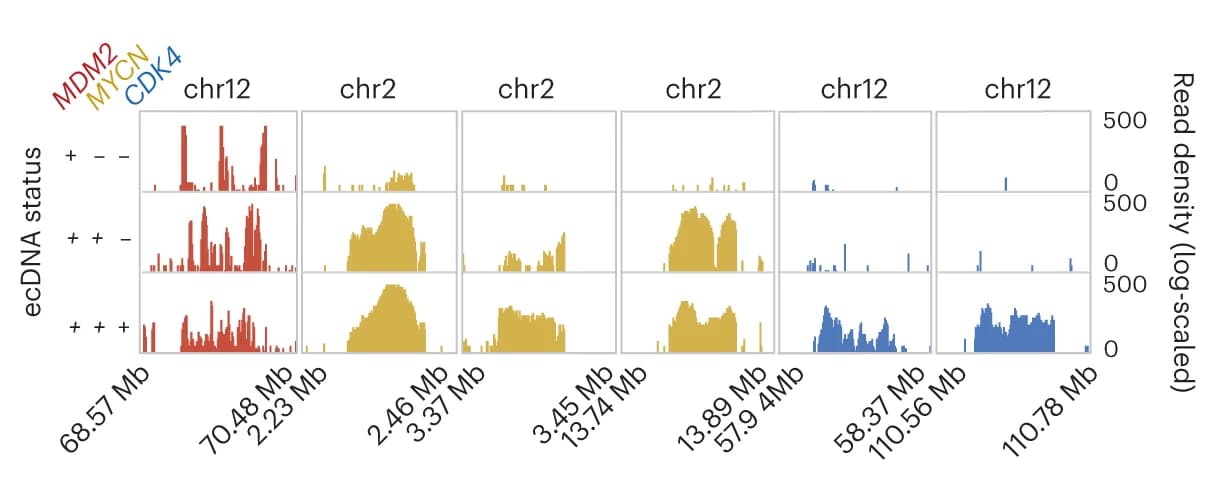 Open access visualization of Line Plot, Density Plot, Genome Tracks, Read Densities, ecDNA